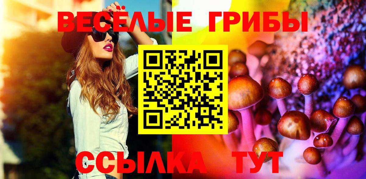 Псилоцибиновые грибы ЛСД Владикавказ